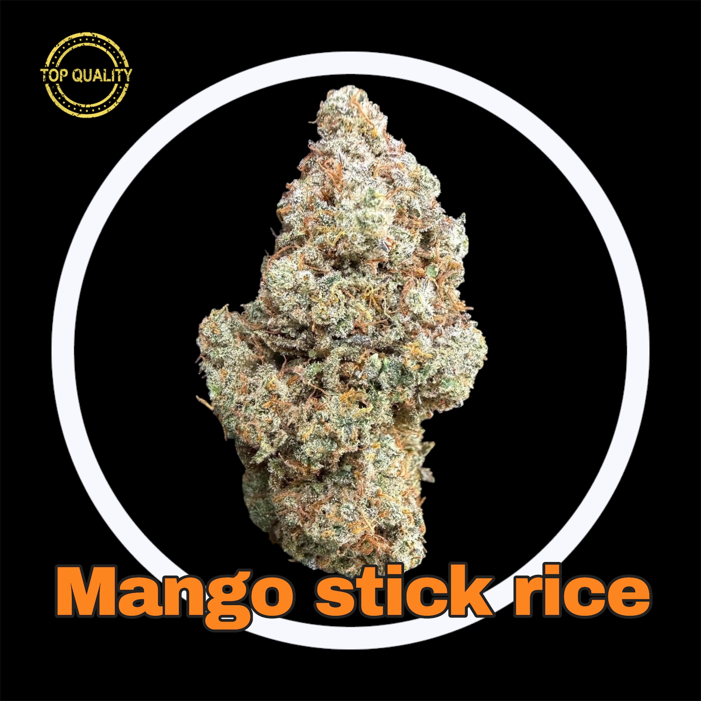 17-03-26 09-19-35pm.jpg